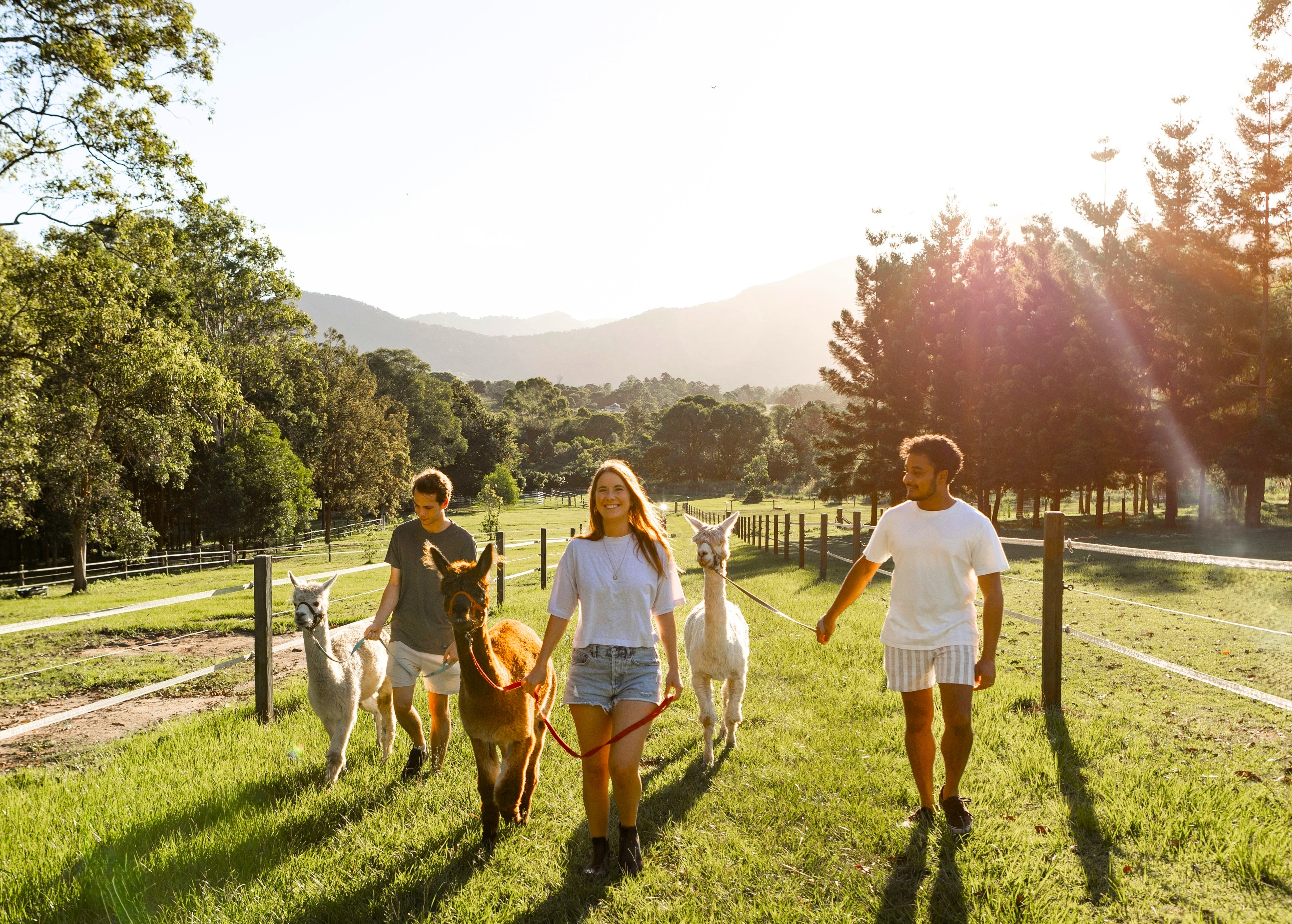 1hr Premium Animal Tour