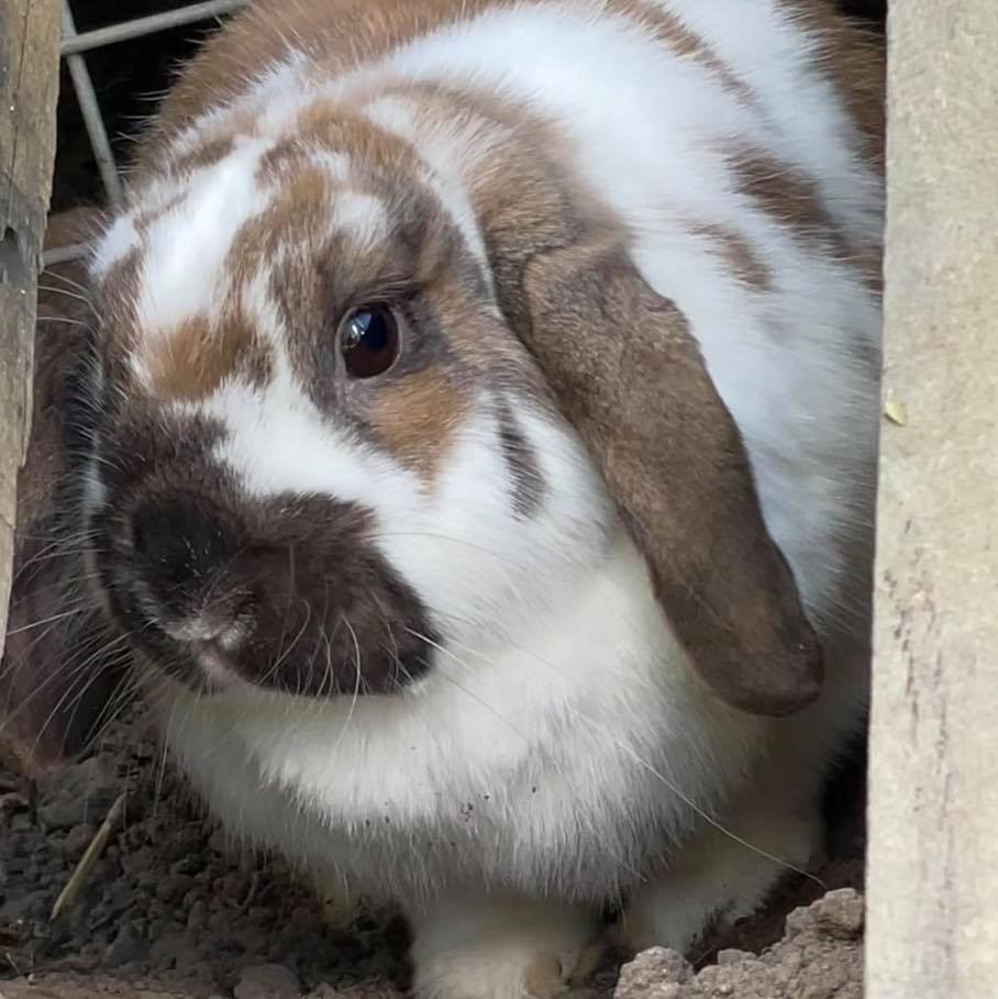 3hr Personal Animal Tour