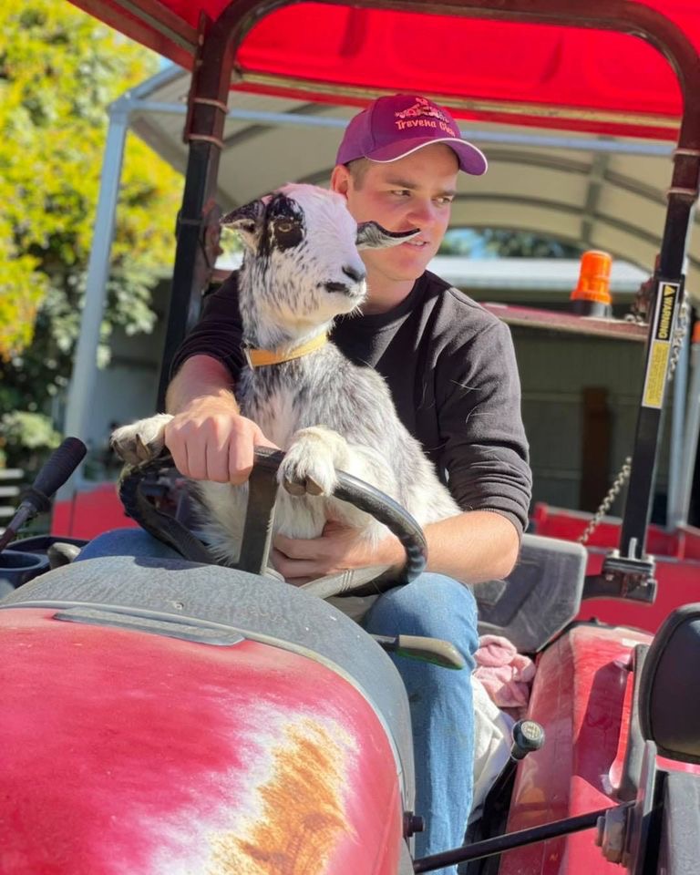 3hr Personal Animal Tour