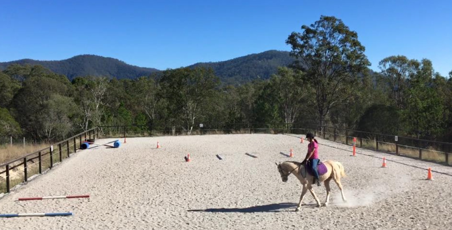 15min Horse Riding Experience