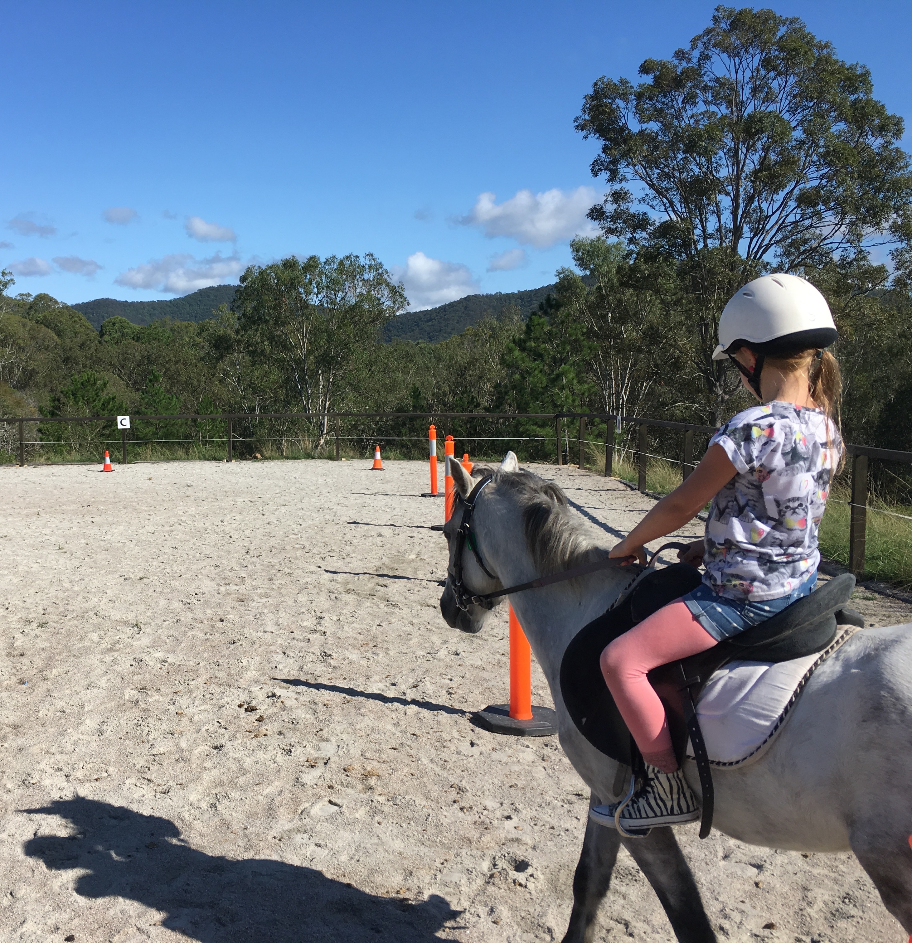 1hr Animal Experience (general public)