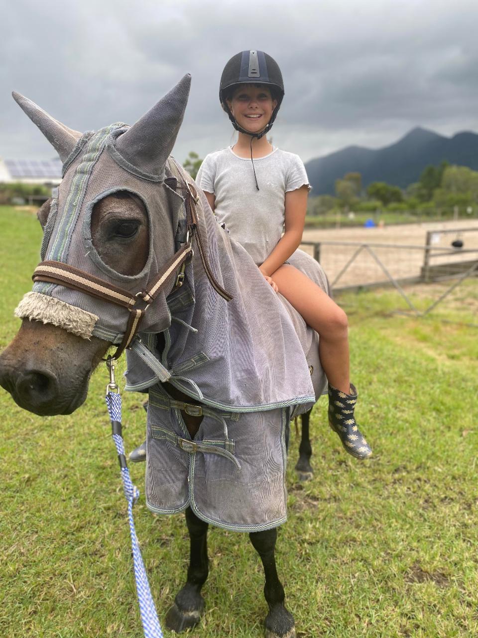 Horsemanship Sessions 30 mins (one-off session)