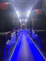 DRAGON DREAMING TO SYDNEY 2026 - ONE WAY COACH TRANSFER ONLY