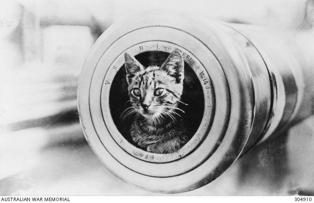 From Whiskers to Wings: Exploring Animal Mascots in the First World War