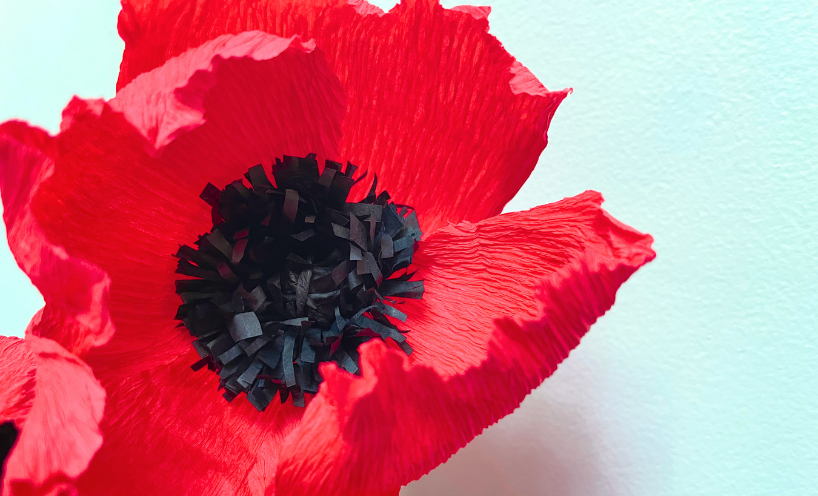 Crafting paper poppies with Louise Seymour 