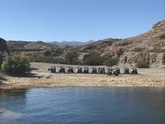 Colorado River Adrenaline RZR Tour (For 2 People)