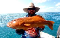 Private Full Day Reef & Sport Fishing Charter - Up to 5 Guests