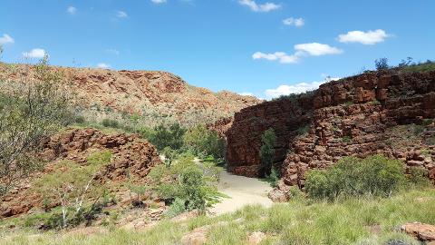East MacDonnell Ranges 1 Day 4WD Tour