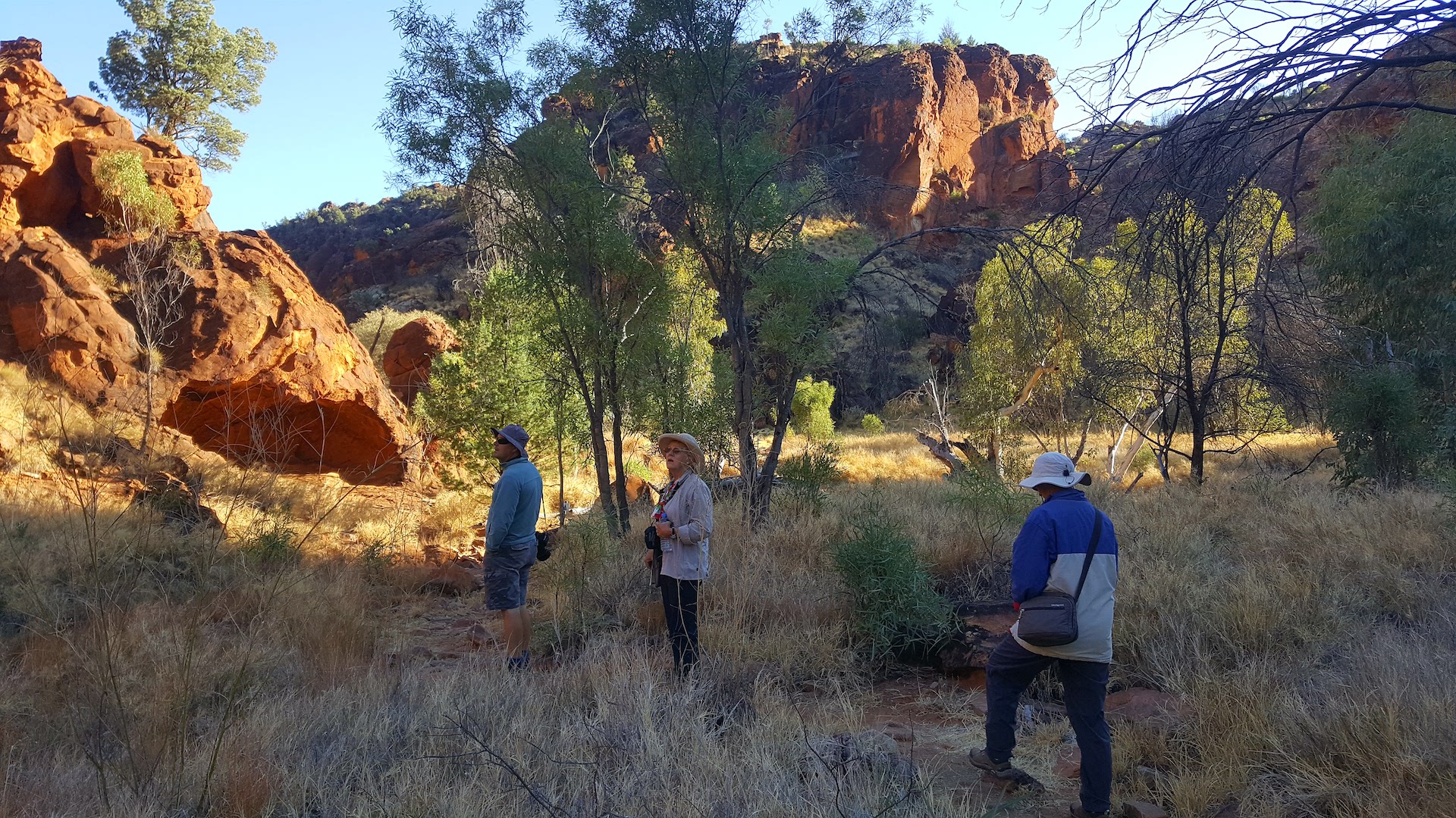East MacDonnell Ranges VIP Tour