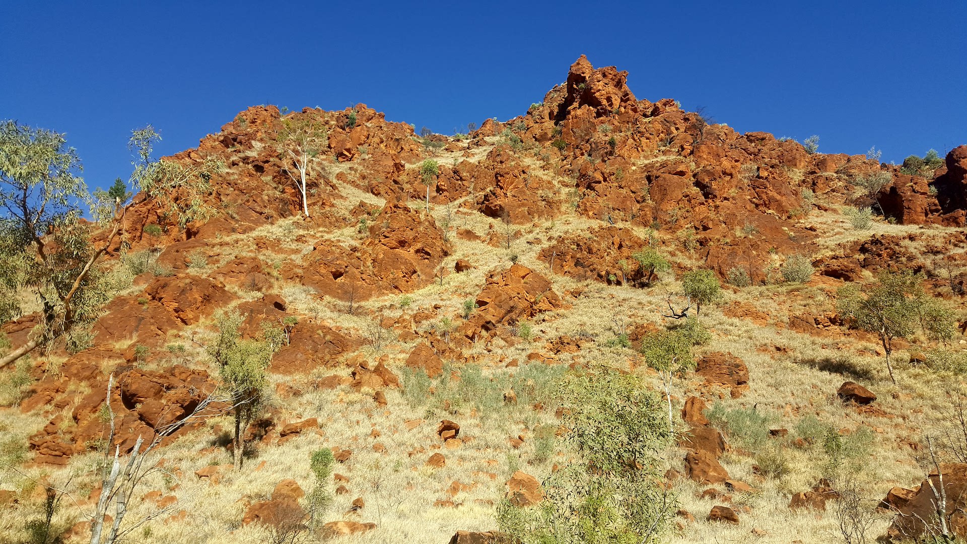 East MacDonnell Ranges VIP Tour