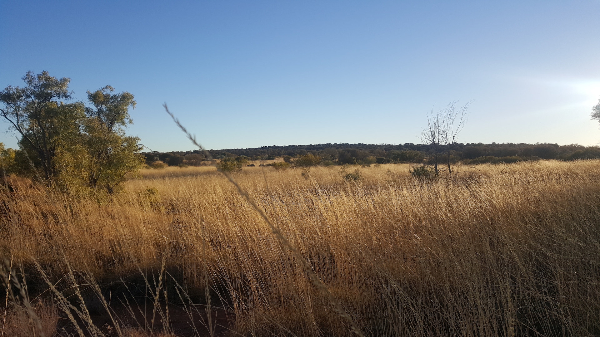 Chambers Pillar and Rainbow Valley VIP Tour