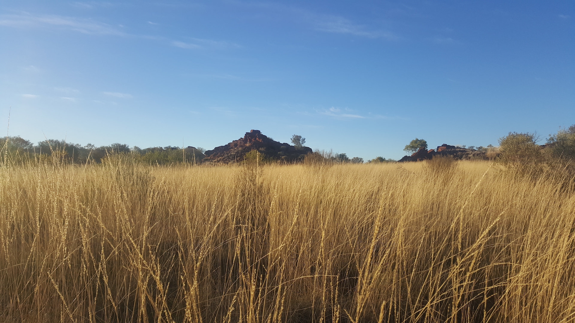 Chambers Pillar and Rainbow Valley VIP Tour