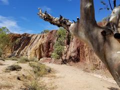 Larapinta Transfer from Alice Springs to Ochre Pits
