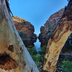 Larapinta Transfer from Ellery Creek South to Alice Springs