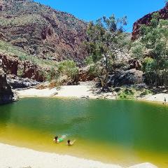 Larapinta Transfer from Alice Springs to Ormiston Gorge