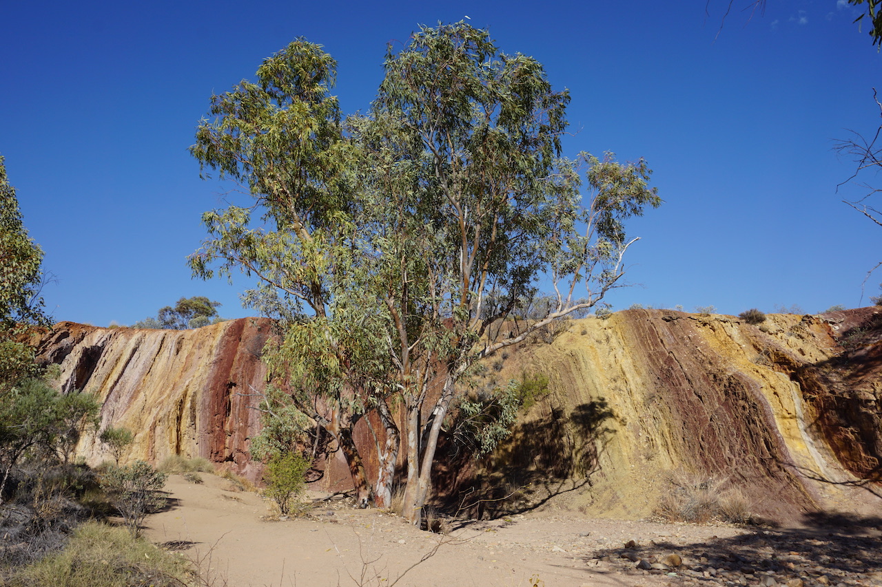 West MacDonnell Ranges Classic Tour