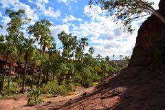 Palm Valley and Hermannsburg 1 Day 4WD Tour