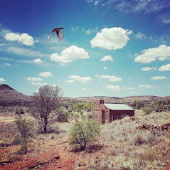 East MacDonnell Ranges VIP Tour