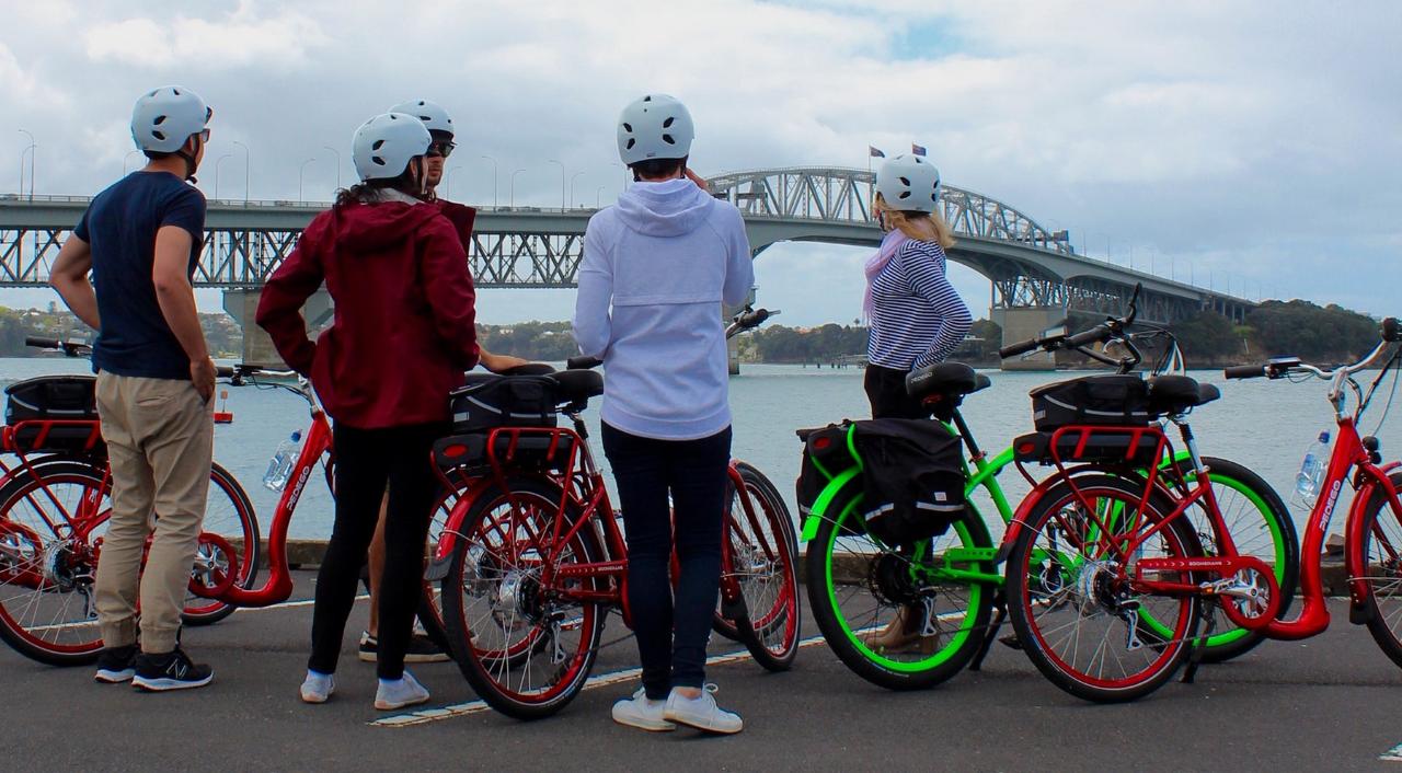 Explore Auckland Combo  -  10am walking tour: 2pm e-bike tour