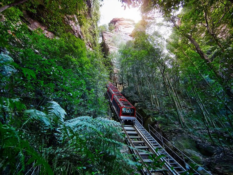 Ultimate Blue Mountains  - Fully Inclusive Private Day Tour with Featherdale Wildlife Park, Scenic World and the Three Sisters