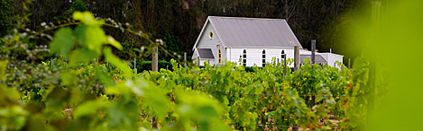 Hunter Valley Ultimate Food & Wine Trail - Private Day Tour