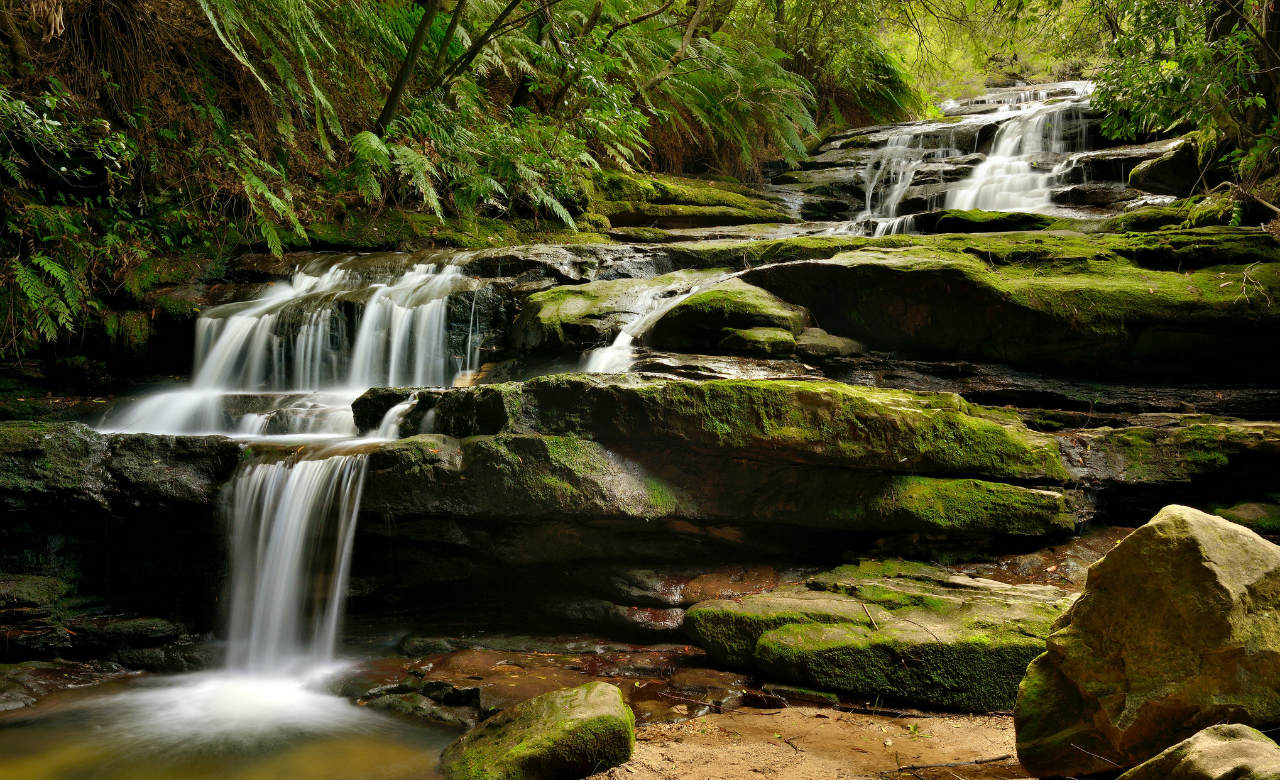 Ultimate Blue Mountains  - Fully Inclusive Private Day Tour with Featherdale Wildlife Park, Scenic World and the Three Sisters