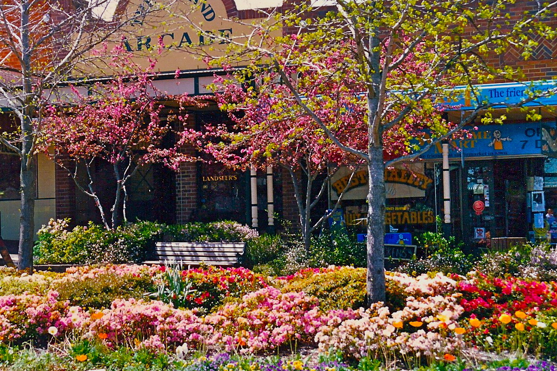 Ultimate Blue Mountains  - Fully Inclusive Private Day Tour with Featherdale Wildlife Park, Scenic World and the Three Sisters