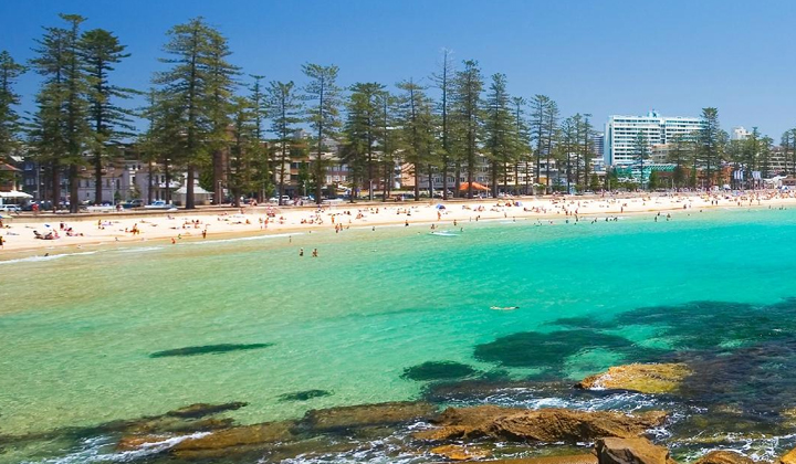 Northern Beaches Private Tour