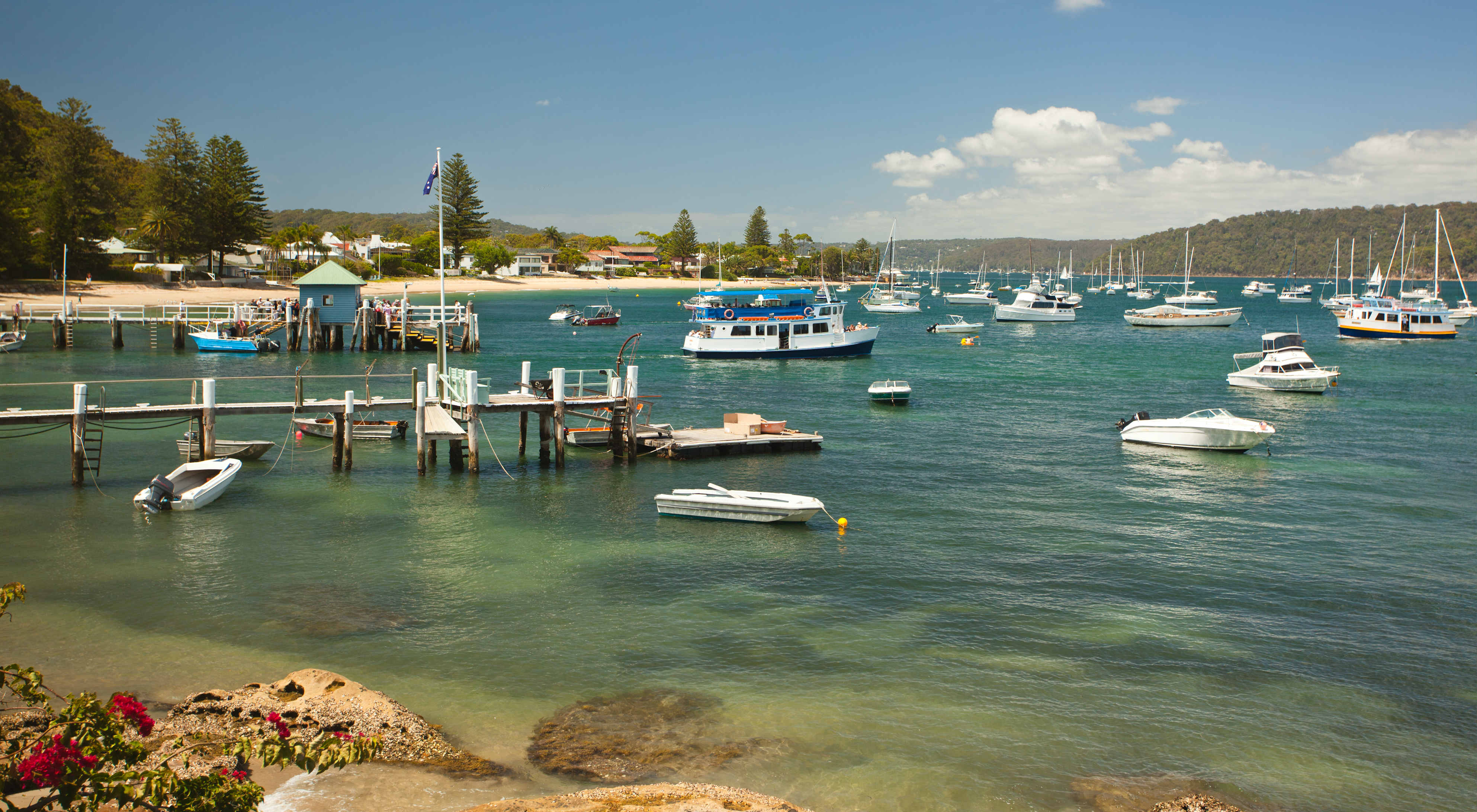 Central Coast  - Private Day Tour with Wildlife & Reptile Park