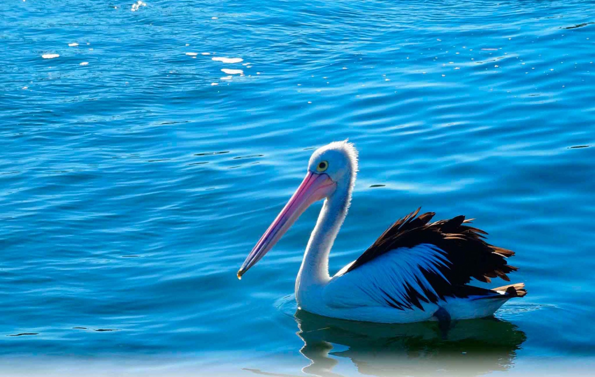 Port of Newcastle - Private Tour - Shore Excursion