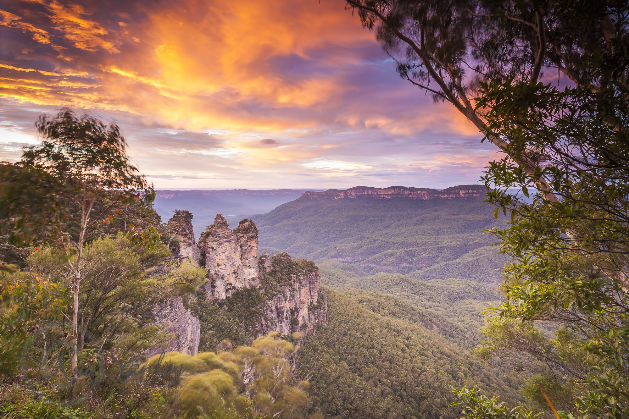 blue mountains tour with scenic world