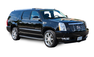 PRIVATE BLACK HISTORY AND HERITAGE TOUR SUV