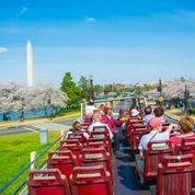 Premium 1 Day Tour