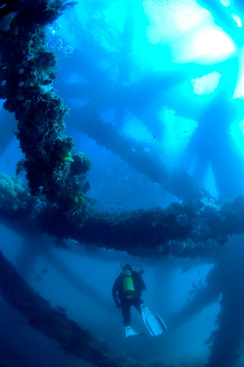 Exmouth Navy Pier Double Dive Dive Ningaloo Reservations