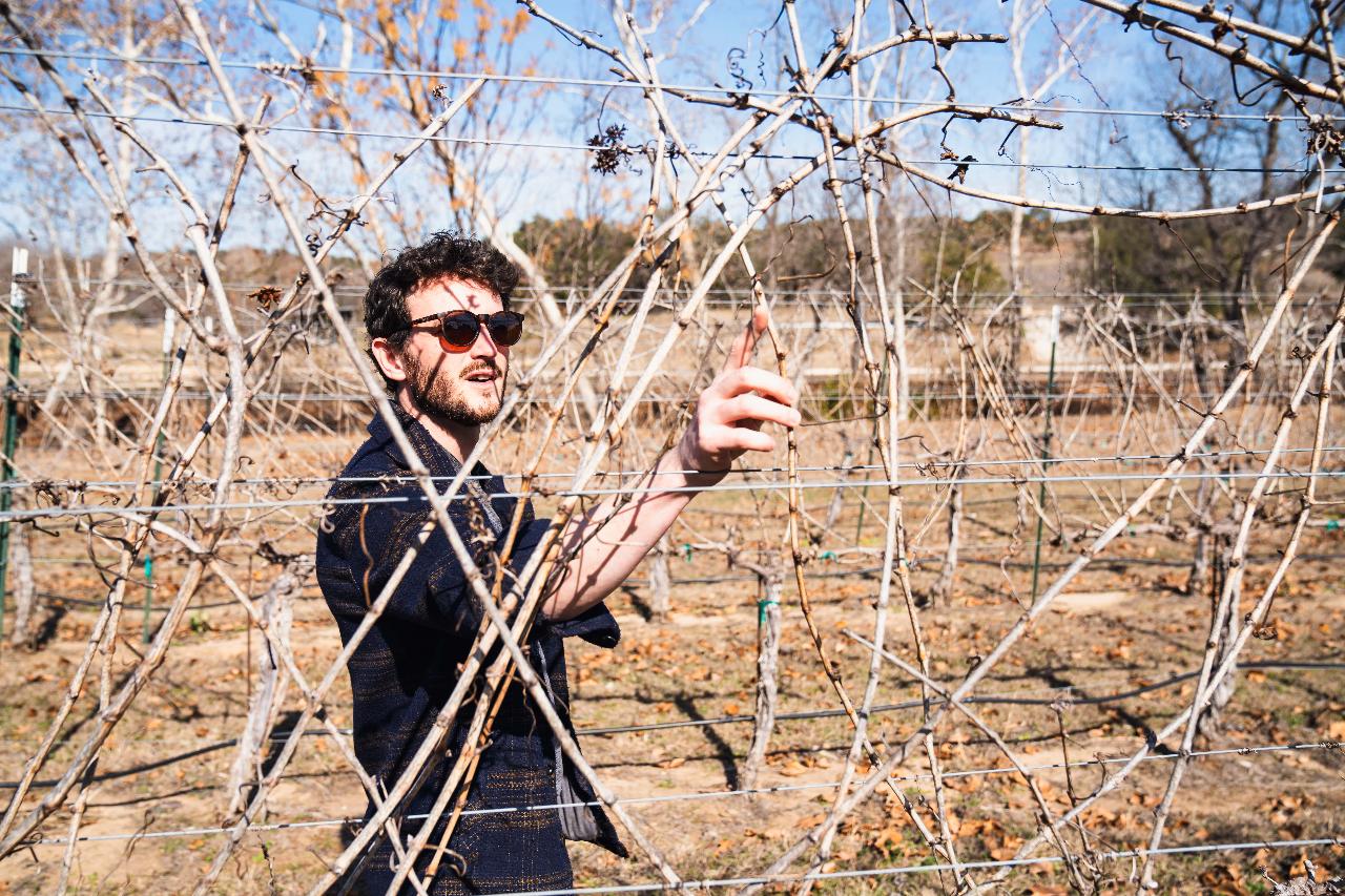 Flat Creek Estate Winery: Elevated Tastings — Texas Hill Country - Photo 2