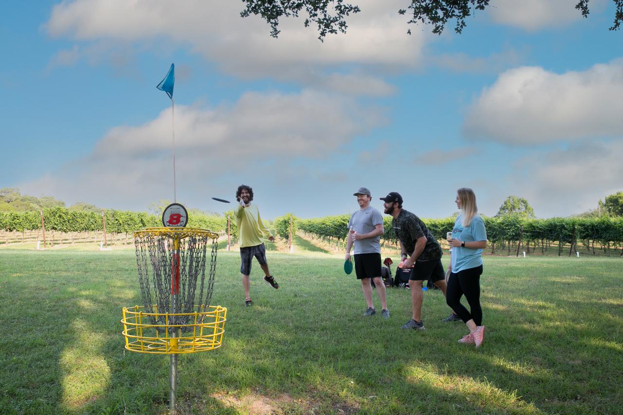 Learn to Play Disc Golf