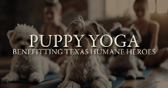 Puppy Yoga