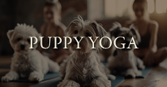 Puppy Yoga