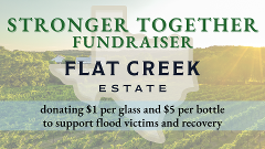 Stronger Together Fundraiser