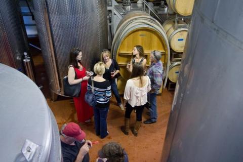 Morning Winery Tour