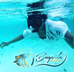 Bayside Explorer's Amongst The Reef - A Snorkeling Excursion - Half Day Tour
