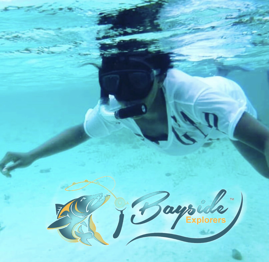 Bayside Explorer's Amongst The Reef - A Snorkeling Excursion - Full Day Tour