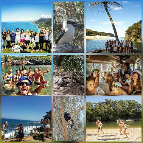 Royal National Park Day Trip for Backpackers, Students and travellers 18 to their mid 30s