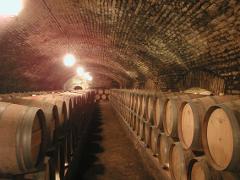 Full-Day Wineries Tour from Santiago