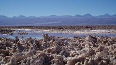 Atacama Salt Flats, Toconao and Altiplanic Lagoons Day Trip