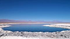 Cejar Lagoon Half- Day Tour from San Pedro de Atacama