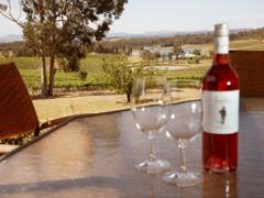 Hunter Valley Day Tour – A Gourmet Day Amongst The Vines