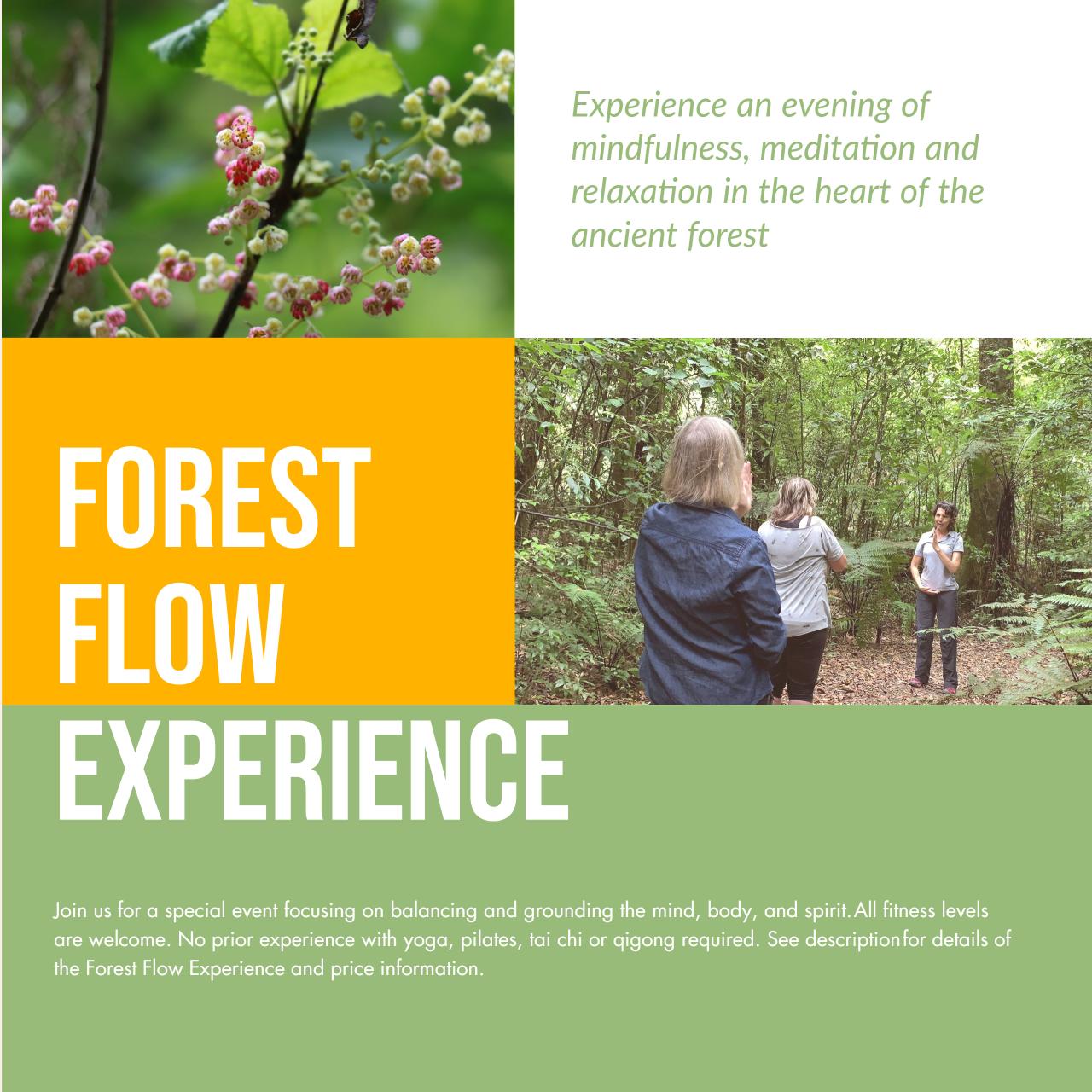 Forest Flow Experience - 7th February