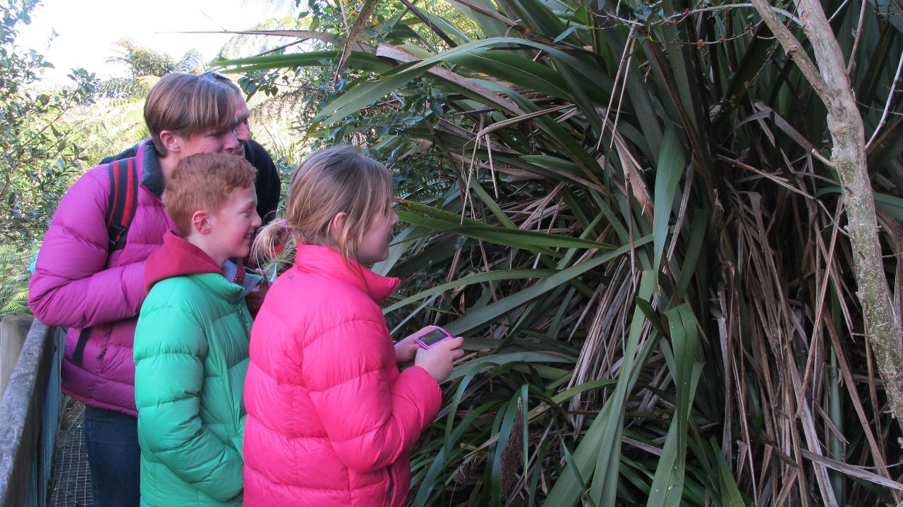 “We’re going on a tuatara hunt…” Highlights Tour.