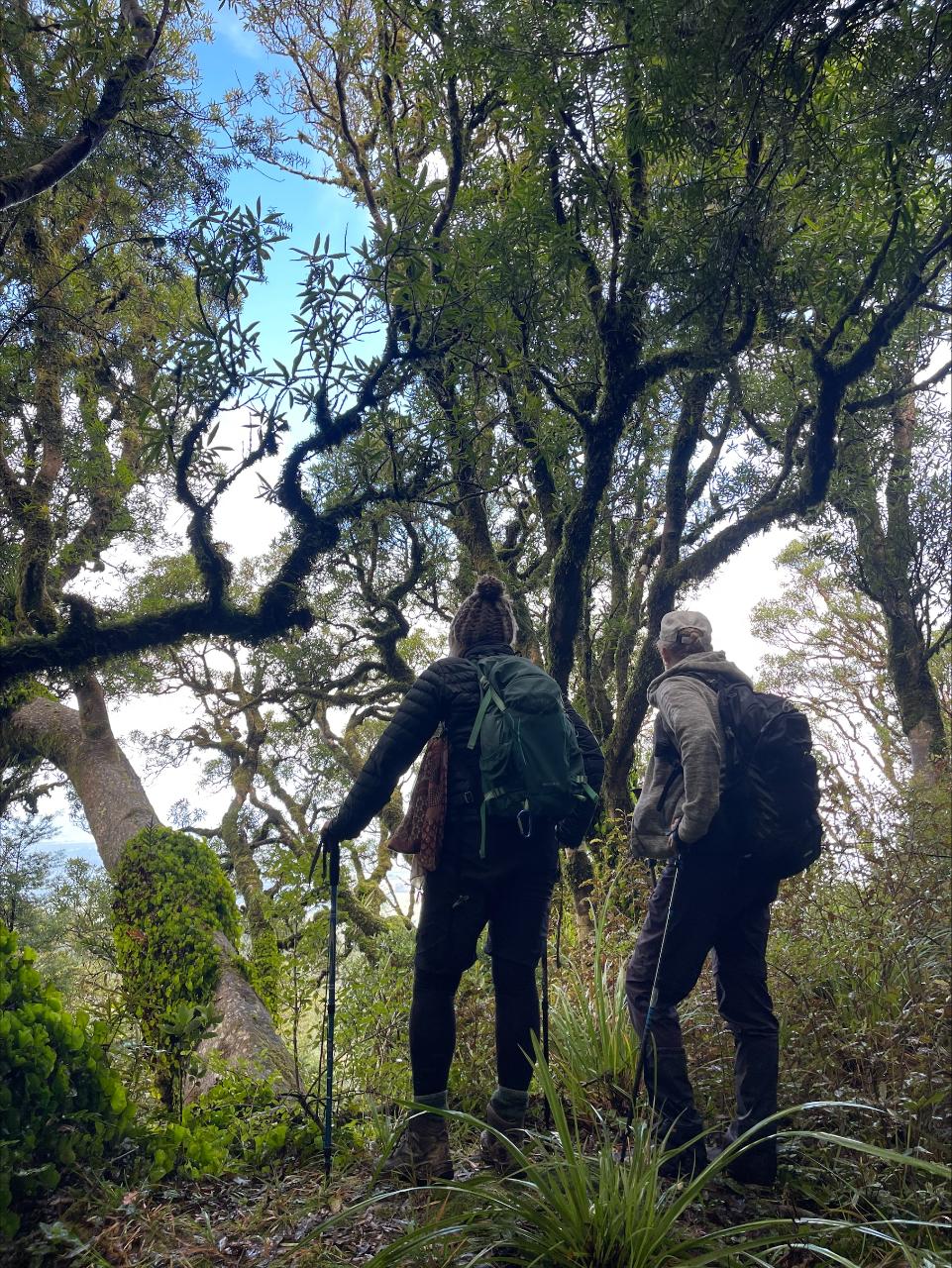 Over the Mountain Weekend Shuttle